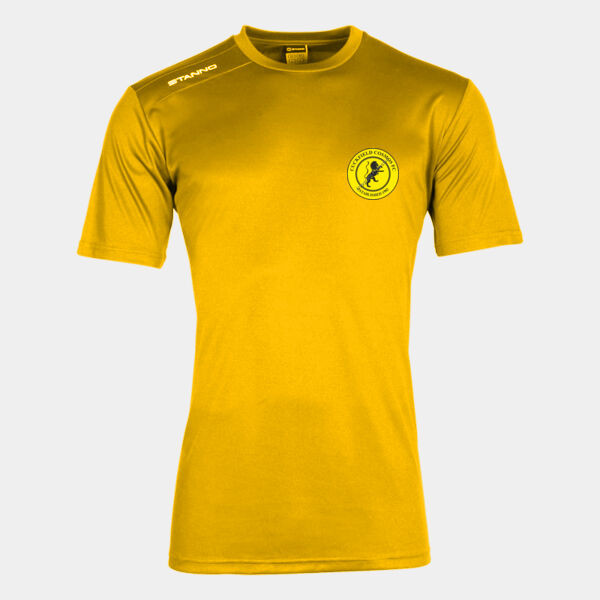 Training Tee (Adult) Training Tee (Adult) Thumbnail